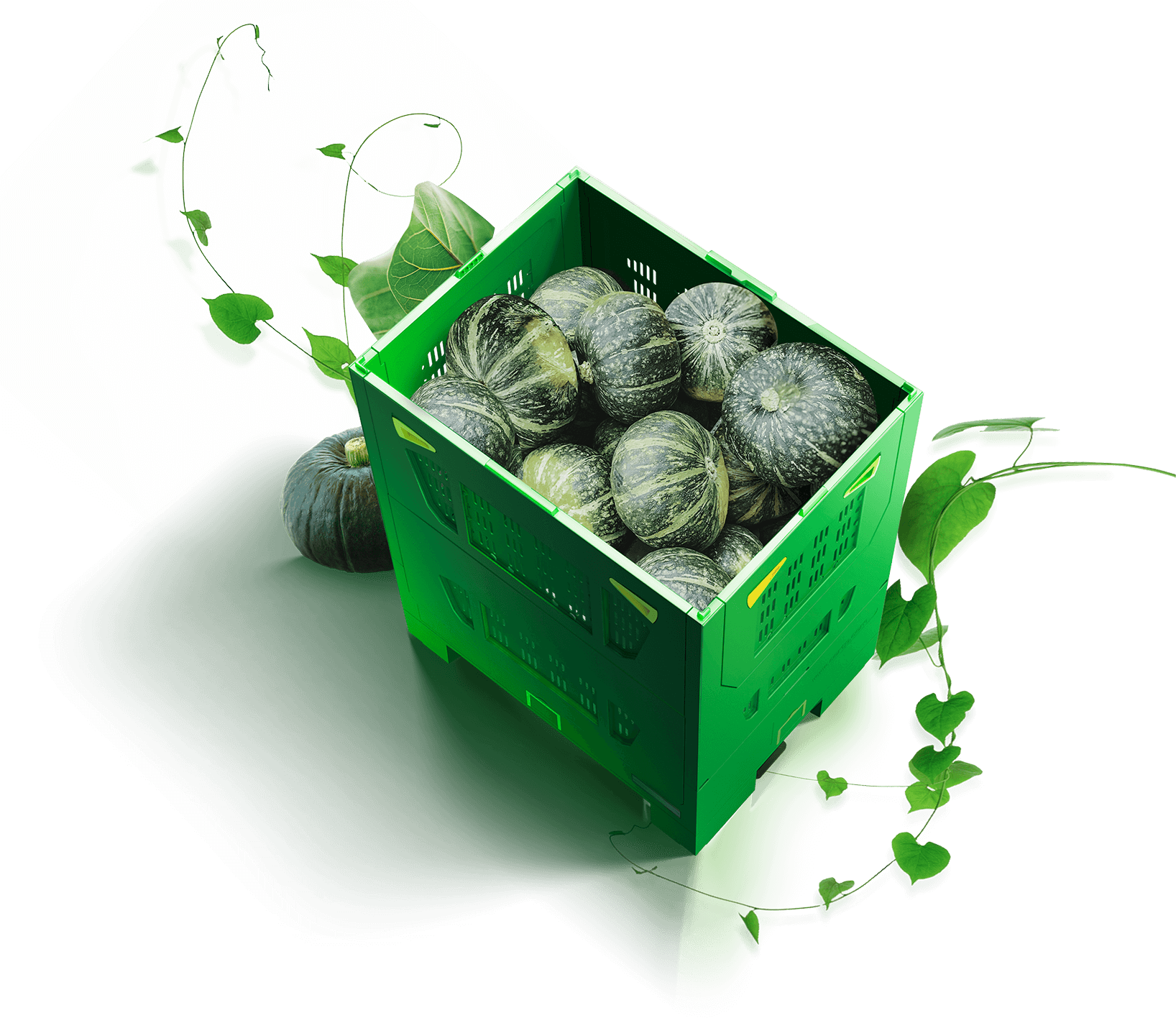 箱箱共用设计并研发了适用于250公斤的中型生鲜果蔬折叠箱-罗汉